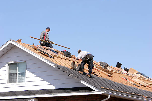 Best Sheet Metal Roofing  in Indian Rocks Beach, FL